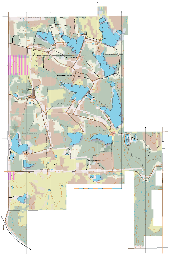 Click here for a topographic map